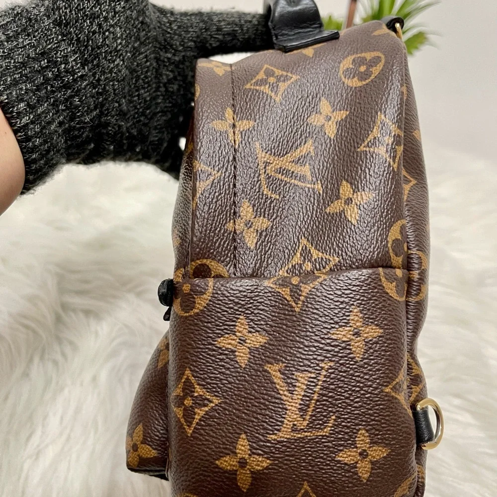 Palm Spring Mini - Picture 4 of 12